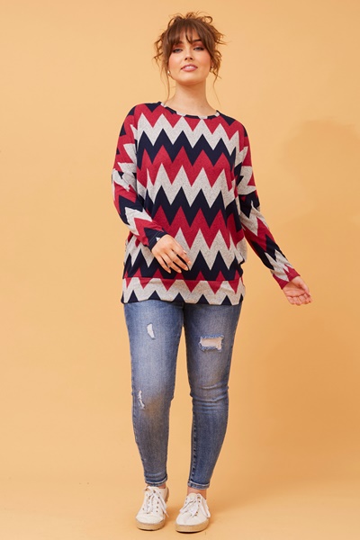 BIRD CHEVRON PRINT TOP