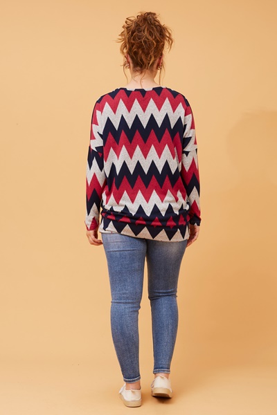 BIRD CHEVRON PRINT TOP