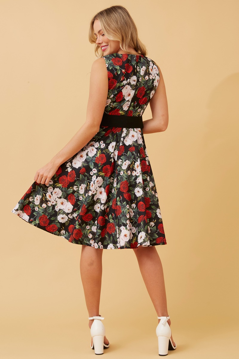 City floral skater dress, Buy Online