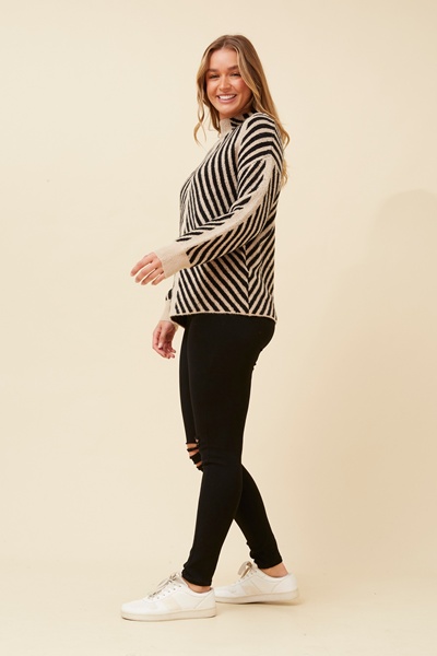DARRELLE STRIPE PATTERN PULLOVER