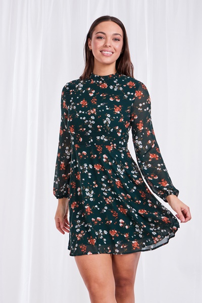 Floral Skater Dress