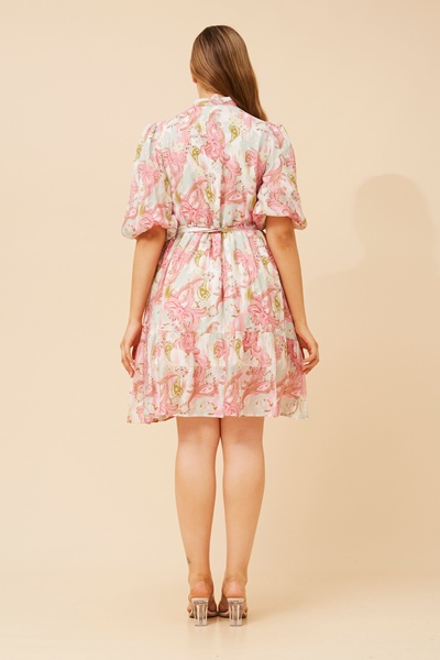 SIDONIA PAISLEY PRINT DRESS