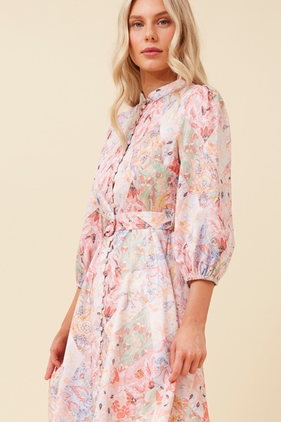 ZAYA BOTANICAL PRINT DRESS